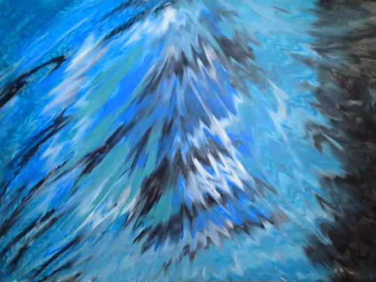 Peacock Dreams